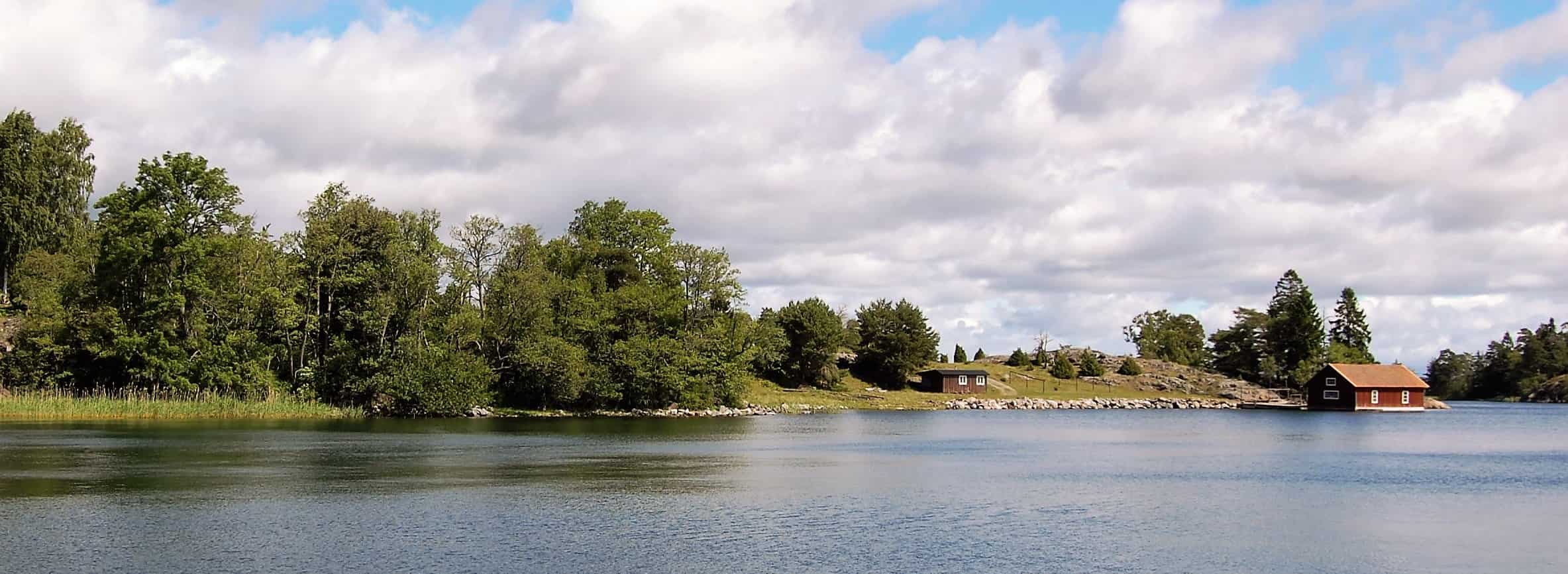 vatten och skog i umeå